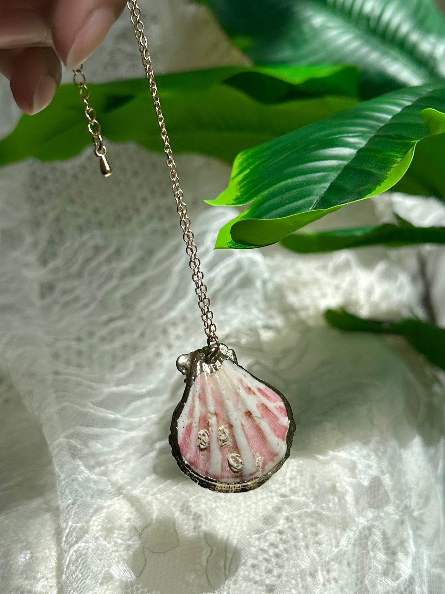 Shell Necklace