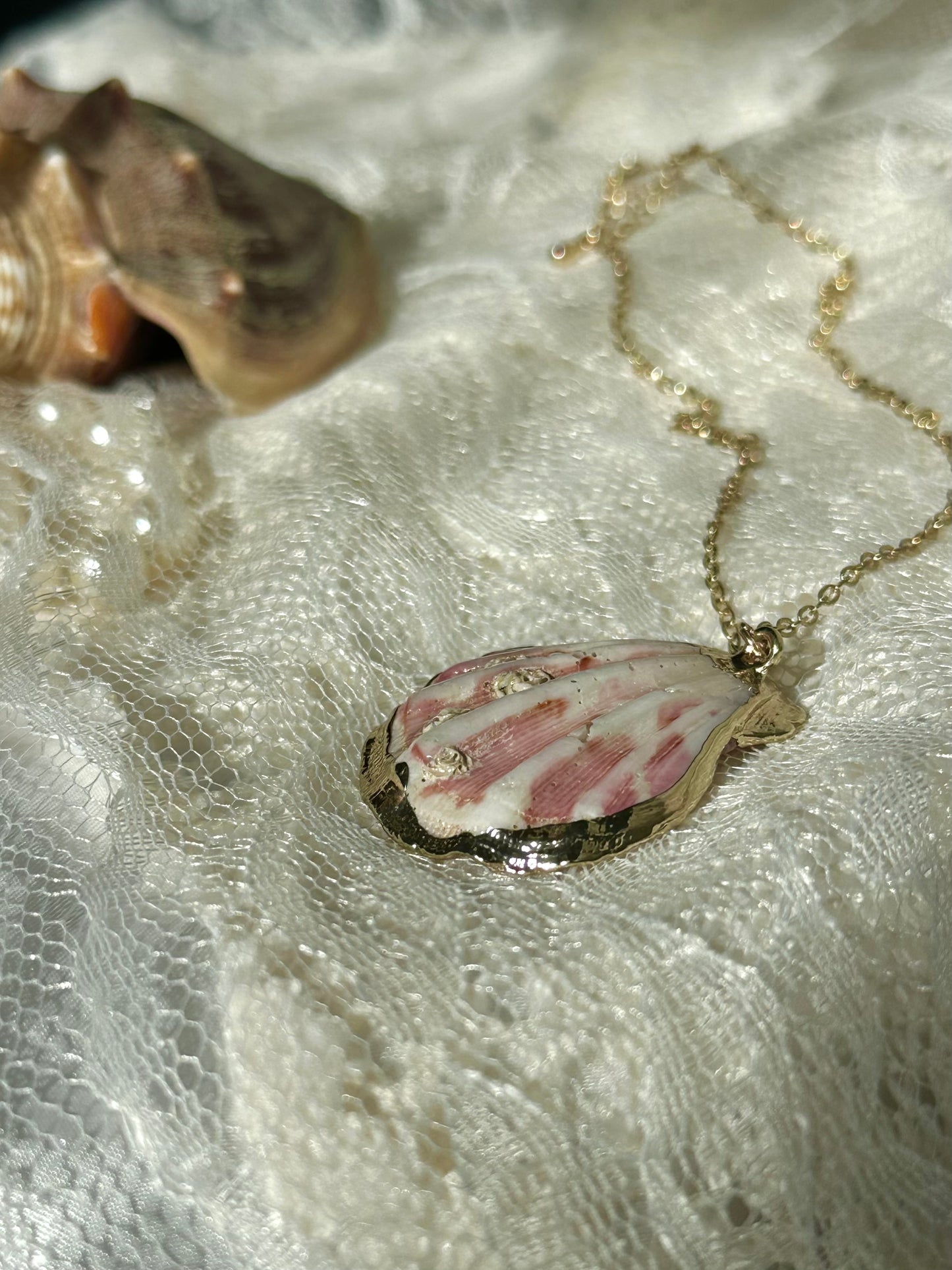 Shell Necklace